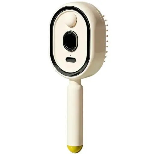 Electric Spray Airbag Massage Comb Essential Oil Atomization Care Self-Cleaning Anti-Static Hair Wrap Smooth Hair Comb