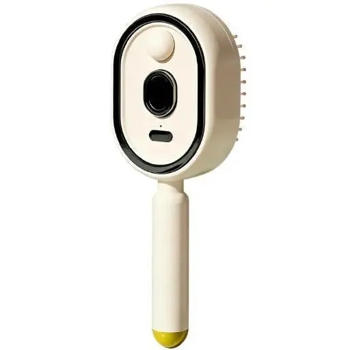 Electric Spray Airbag Massage Comb Essential Oil Atomization Care Self-Cleaning Anti-Static Hair Wrap Smooth Hair Comb
